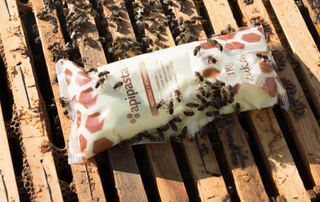 bees eating a bee supplement