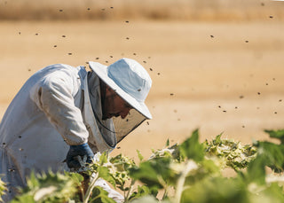 An image of a beekeeper working on a beehive. There are bees flying around the scene.