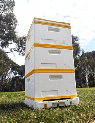 Three Storey Beehive Kit