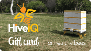 HiveIQ AU Gift Card